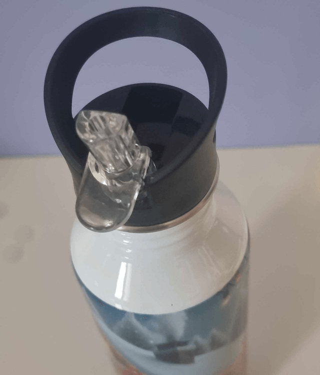 Gourde avec paille intégrée "Chalet de noël" (600 ml)