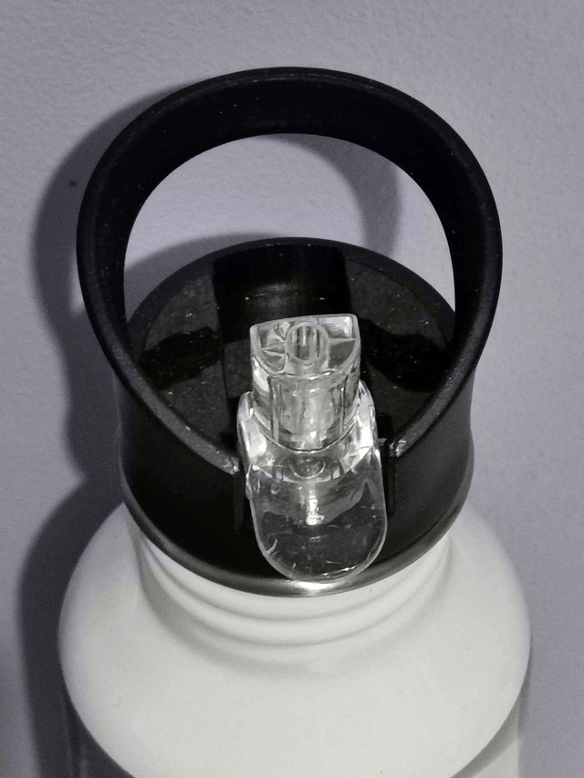Gourde thème "Fée" (600 ml) avec paille intégrée