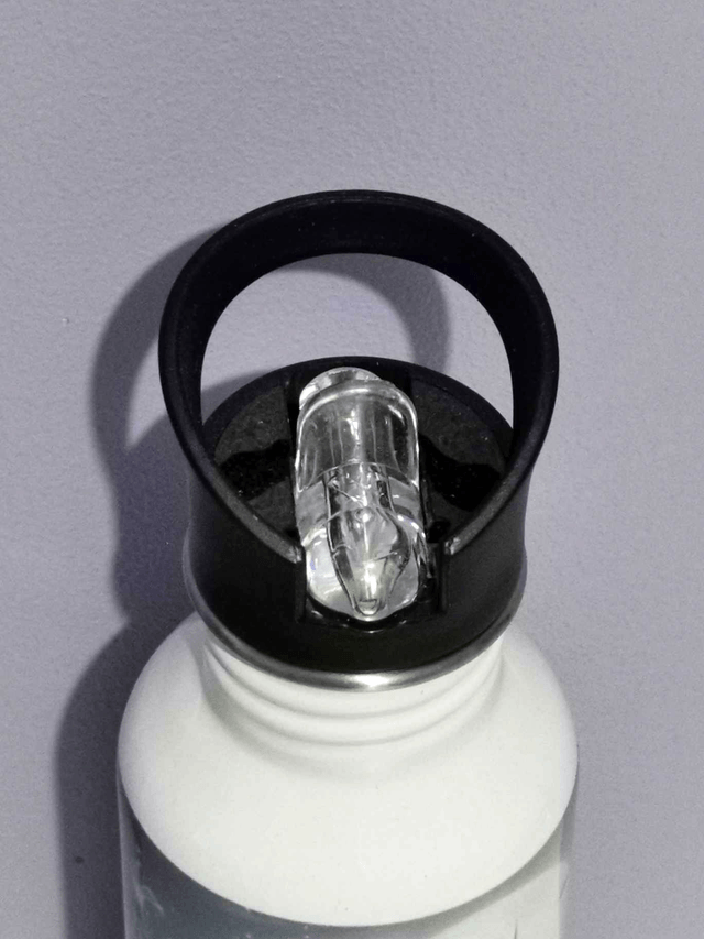 Gourde thème "Fée" (600 ml) avec paille intégrée